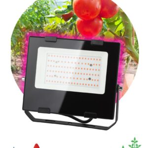 Фитопрожектор для растений светодиодный ЭРА FITO-50W-RB-LED для цветения и плодоношения красно-синего спектра 50 Вт купить оптом недорого