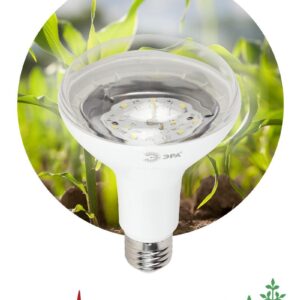 Фитолампа для растений светодиодная ЭРА FITO-15W-Ra90-E27 полного спектра 15 Вт Е27 купить оптом недорого