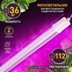 фитолампа светодиодная линейная ЭРА FITO-36W-RB-N красно-синего спектра 36 Вт купить оптом недорого