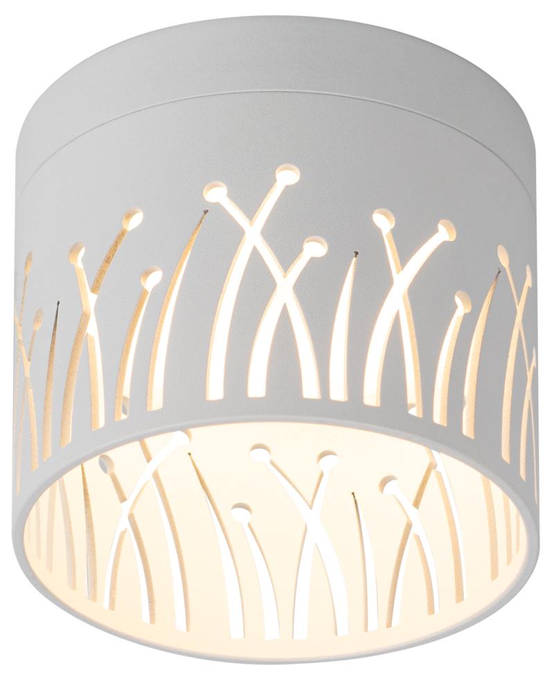 Светильник настенно-потолочный спот ЭРА OL54 WH под лампу GX53 белый IP20 оптом купить хорошая цена Светильник настенно-потолочный спот ЭРА OL54 WH под лампу GX53 белый IP20 купить оптом недорого