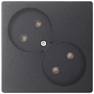 Розетка 2-м СП Simon 24 16А IP20 2х2P без защ. шторок механизм графит Simon 2450457-038 оптом купить цена