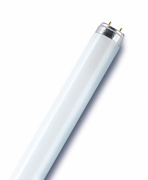 Лампа люминесцентная L 30W/765 30Вт T8 6500К G13 OSRAM 4008321959706 оптом купить цена