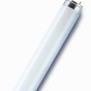 Лампа люминесцентная L 18W/865 LUMILUX 18Вт T8 6500К G13 смол. OSRAM 4058075693098 оптом купить цена
