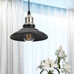 Светильник подвесной (подвес) ЭРА PL4 BK/BN металл