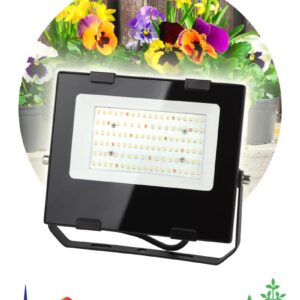 Фитопрожектор для растений светодиодный ЭРА FITO-50W-Ra90-LED для цветения и плодоношения полного спектра 50 Вт купить оптом недорого