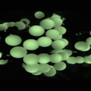 Гирлянда "Шарики" 10м OLDBL070-WW-E 70 тепл. бел. светодиодов соединяемая до 3шт уличная SHLights 4690601049674 оптом купить цена