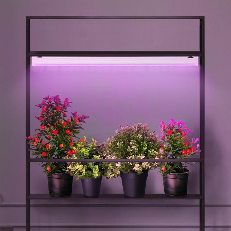 Pink flowers and plants in grey dining room interior with lamp a
