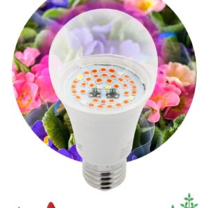 Фитолампа для растений светодиодная ЭРА FITO-12W-RB-E27 красно-синего спектра 12 Вт Е27 купить оптом недорого