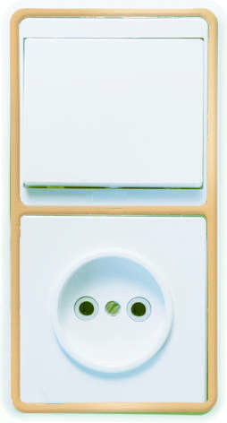 Блок БКВР-037 Бэлла (1-кл. выкл. + розетка) зол. Кунцево 5816 купить оптом выгодно Блок БКВР-037 Бэлла (1-кл. выкл. + розетка) зол. Кунцево 5816 оптом купить цена