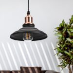 Светильник подвесной (подвес) ЭРА PL4 BK/RC металл