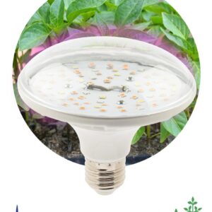 Фитолампа для растений светодиодная ЭРА FITO-18W-RB-E27 красно-синего спектра 18 ВТ Е27 купить оптом недорого