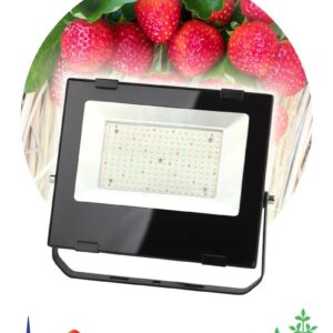 Фитопрожектор для растений светодиодный ЭРА FITO-100W-Ra90-LED для цветения и плодоношения полного спектра 100 Вт купить оптом недорого