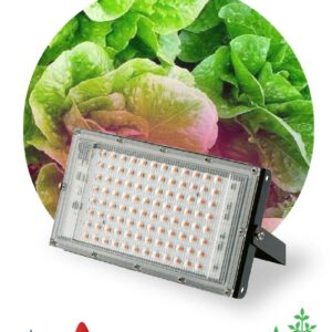 Фитопрожектор для растений светодиодный ЭРА FITO-80W-RB-LED-Y красно-синего спектра купить оптом недорого