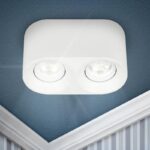 Светильник настенно-потолочный спот ЭРА OL25-2 WH MR16/GU5.3