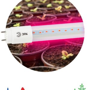 Фитолампа для растений светодиодная ЭРА FITO-18W-RB-Т8-G13-NL и мясных прилавков 18 Вт Т8 G13 красно-синего спектра купить оптом недорого