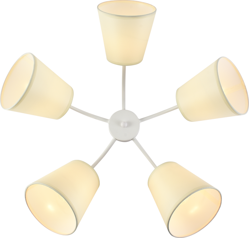 51c645cddfc2ec1f