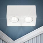 Светильник настенно-потолочный спот ЭРА OL24-2 WH MR16/GU5.3