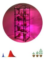 Теплица ЭРА FITO-House-5 со светильниками в комплекте 5 ярусов 1930х690х490 мм купить оптом недорого