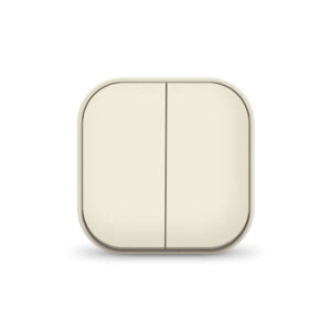 Выключатель 2-кл. 1п ОП 10А IP20 сл. кость IONICH 1425 оптом купить цена