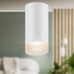 Светильник настенно-потолочный спот ЭРА OL40 WH/CL MR16 GU10 IP20 белый