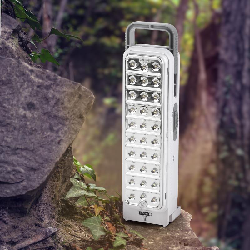 A beautiful old fashioned lamp glowing hidden in a dark forest