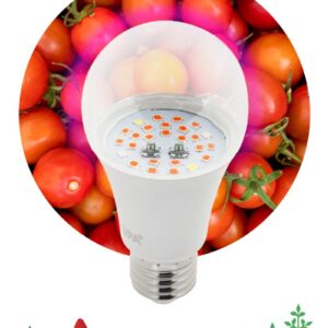 Фитолампа для растений светодиодная ЭРА FITO-10W-RB-E27 красно-синего спектра 10 ВТ Е27 купить оптом недорого