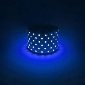 Светодиодная лента ЭРА LS5050 -14