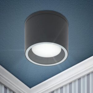 Светильник настенно-потолочный спот ЭРА WL40 GR GX53