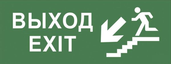 Самоклеящаяся этикетка ЭРА INFO-DBA-013 200х60мм Выход/лестница вниз/фигура DPA/DBA купить оптом недорого