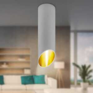 Светильник настенно-потолочный спот ЭРА OL27 WH MR16/GU10