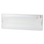 Аварийный светильник светодиодный ЭРА DPA-301-1-65 постоянный 40LED 3ч IP65 купить оптом недорого