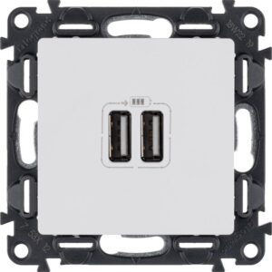 Розетка USB 2-м Valena Life 240В/5В 2400мА с лицев. панелью механизм бел. Leg 753412 оптом купить цена