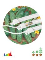 Модульный светильник для растений ЭРА FITO-3х10W-LINE-Ra90 полного спектра 30 Вт купить оптом недорого