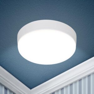 Светильник светодиодный ЭРА LED 15-36-6K накладной круглый 36Вт 6500К купить оптом недорого