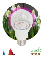 Фитолампа для растений светодиодная ЭРА FITO-14W-RB-E27-K красно-синего спектра 14 Вт Е27 купить оптом недорого