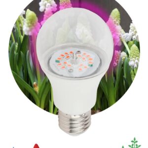 Фитолампа для растений светодиодная ЭРА FITO-14W-RB-E27-K красно-синего спектра 14 Вт Е27 купить оптом недорого