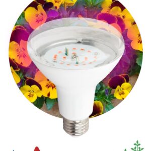 Фитолампа для растений светодиодная ЭРА FITO-16W-RB-E27-K красно-синего спектра 16 Вт Е27 купить оптом недорого