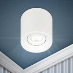 Светильник настенно-потолочный спот ЭРА OL25-1 WH MR16/GU5.3