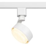 Трековый светильник однофазный ЭРА TR41-GX53 WH GX53 Белый купить оптом недорого