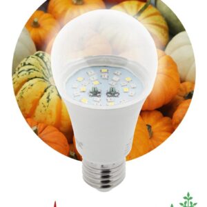 Фитолампа для растений светодиодная ЭРА FITO-11W-Ra90-E 27 полного спектра new 11 Вт Е27 купить оптом недорого