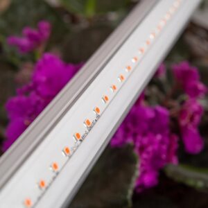 фитолампа светодиодная линейная ЭРА FITO-9W-T5-Ra90 полного спектра 9 Вт Т5 купить оптом недорого