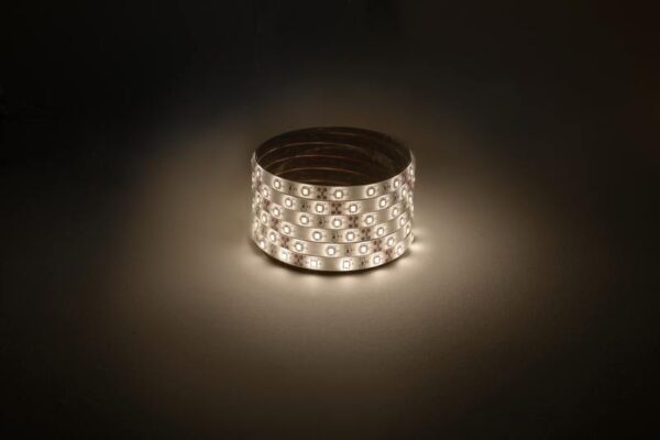 Светодиодная лента ЭРА LS2835 -60LED-IP65-WW-eco-5m купить оптом недорого