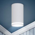 OL16 GU10 WH Подсветка ЭРА Накладные