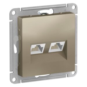 Розетка компьютерная 2-м AtlasDesign RJ45 кат.5E механизм шампань SE ATN000585 оптом купить цена