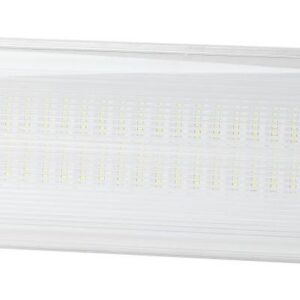 Светильник светодиодный DPA-301-0-65 40LED 3ч IP65 аварийный непостоянный Эра Б0044405 оптом купить цена