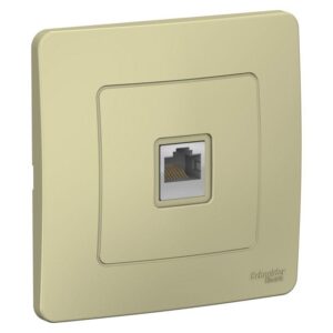 Розетка компьютерная 1-м СП Blanca RJ45 кат.5E беж. SE BLNIS045007 оптом купить цена
