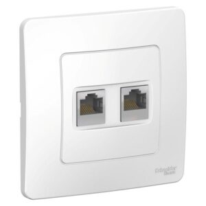 Розетка компьютерная 2-м СП Blanca RJ45 кат.5E бел. SE BLNIS045451 оптом купить цена