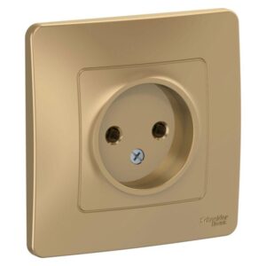 Розетка 1-м СП Blanca 16А IP20 250В без заземл. без защ. шторок титан SE BLNRS000014 оптом купить цена