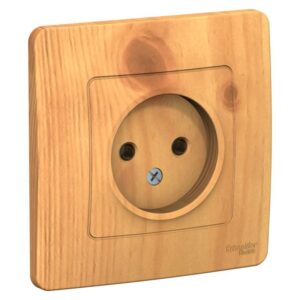 Розетка 1-м СП Blanca 16А IP20 250В без заземл. без защ. шторок ясень SE BLNRS000015 оптом купить цена