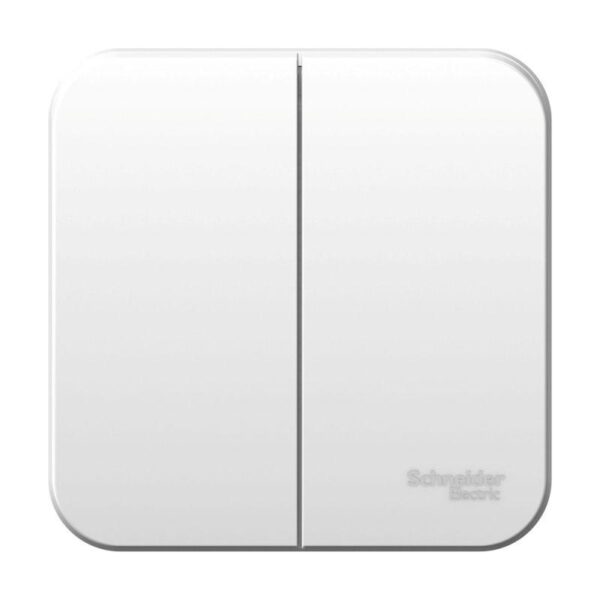 Выключатель 2-кл. ОП Blanca 6А IP20 (сх. 5) 250В с изолир. пластиной бел. SE BLNVA065011 оптом купить цена
